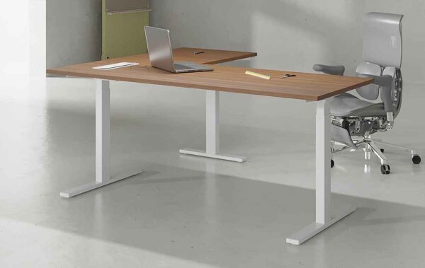 Mack Ergonomic Desk