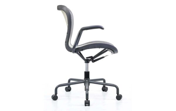 WEN-304 Multi Purpose Chair