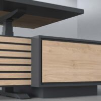 Kora Ergonomic Executive Desk