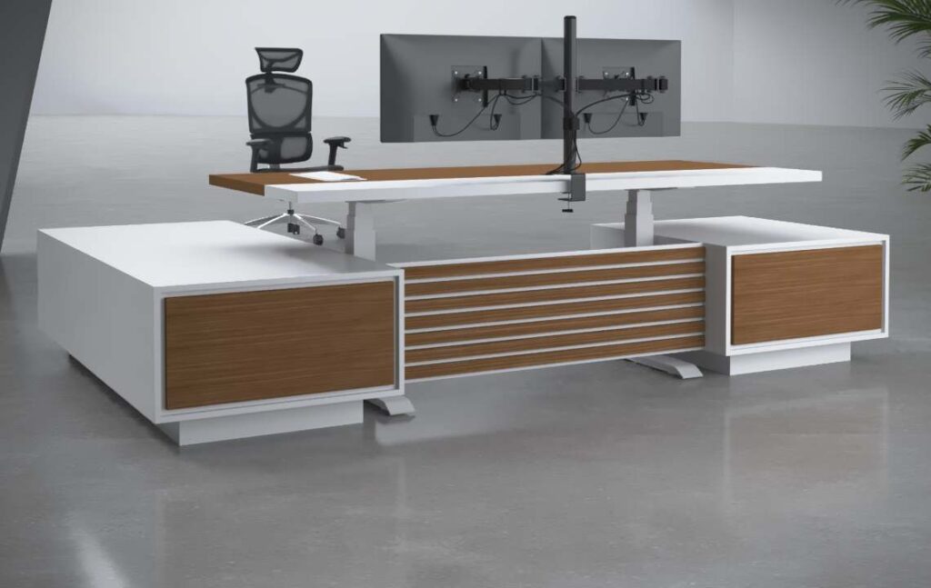 Kora Ergonomic Executive Desk