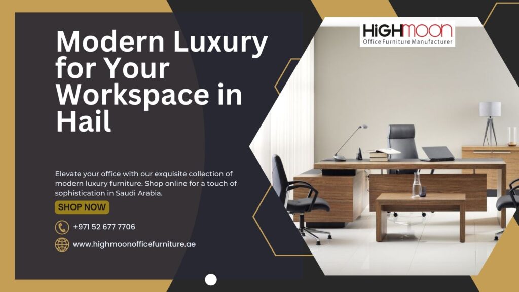 Modern Luxury Office Furniture Hail