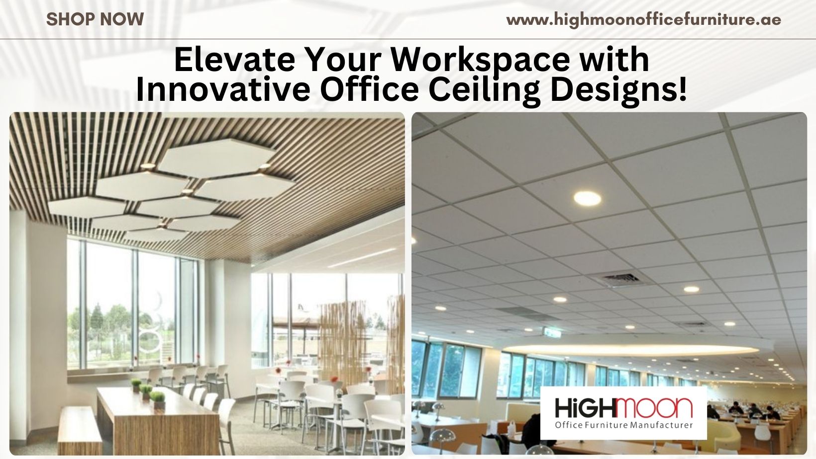 Office Ceiling Solutions