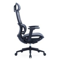 Molly Black Ergonomic Chair