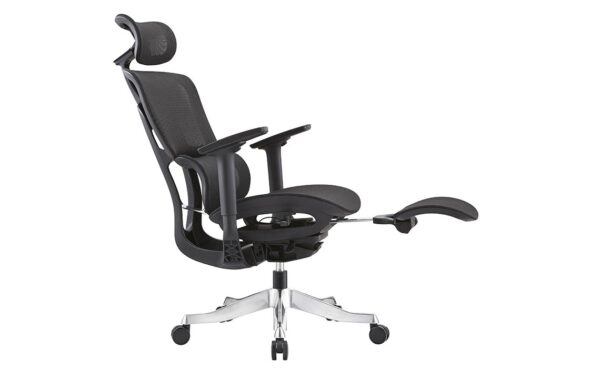 TRJ 900 Ergonomic Chair
