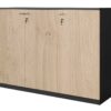 Cabinet - 002 Low Height