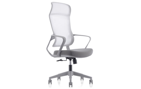 TRJ 620 Executive Chair in Grey with ergonomic design and premium upholstery