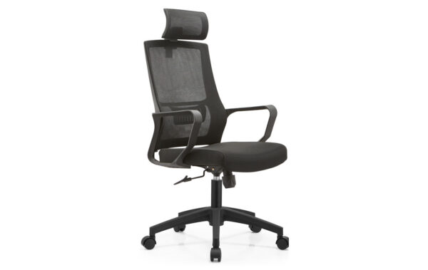 TRJ 635 Executive Chair with ergonomic design, premium materials, and adjustable features for ultimate office comfort.