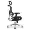 TVR 062 Ergonomic Chair