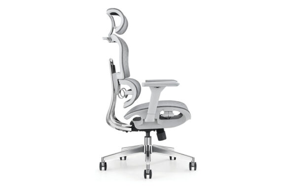 TVR 062 Ergonomic Chair