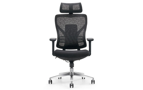 HM Bear Ergonomic Chair Mesh Chair