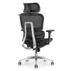 TVR 061 Ergonomic Chair with footrest
