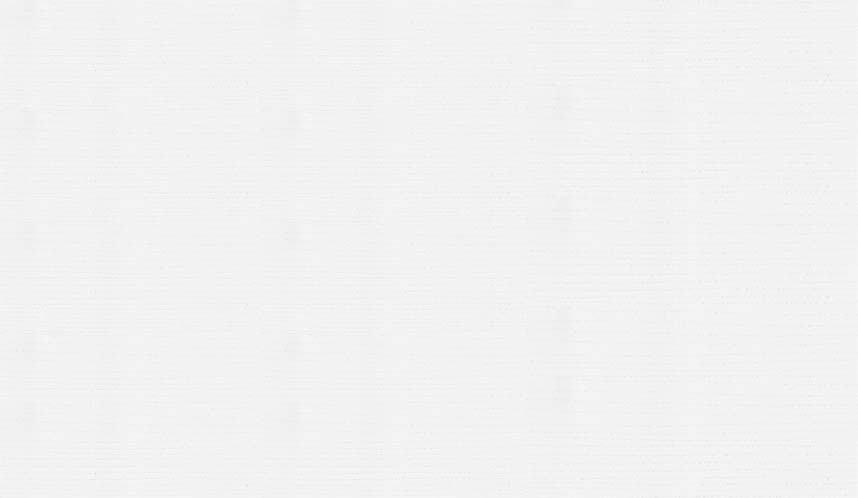 W980 ST12 Platinum White