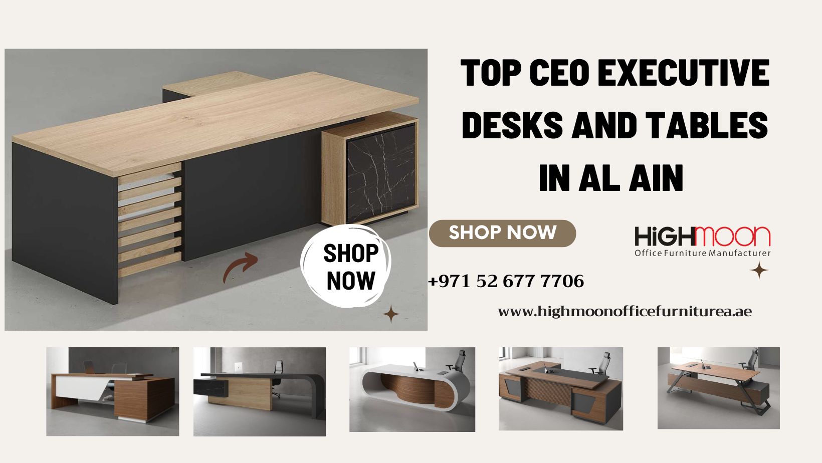 CEO Executive Desk in Al Ai