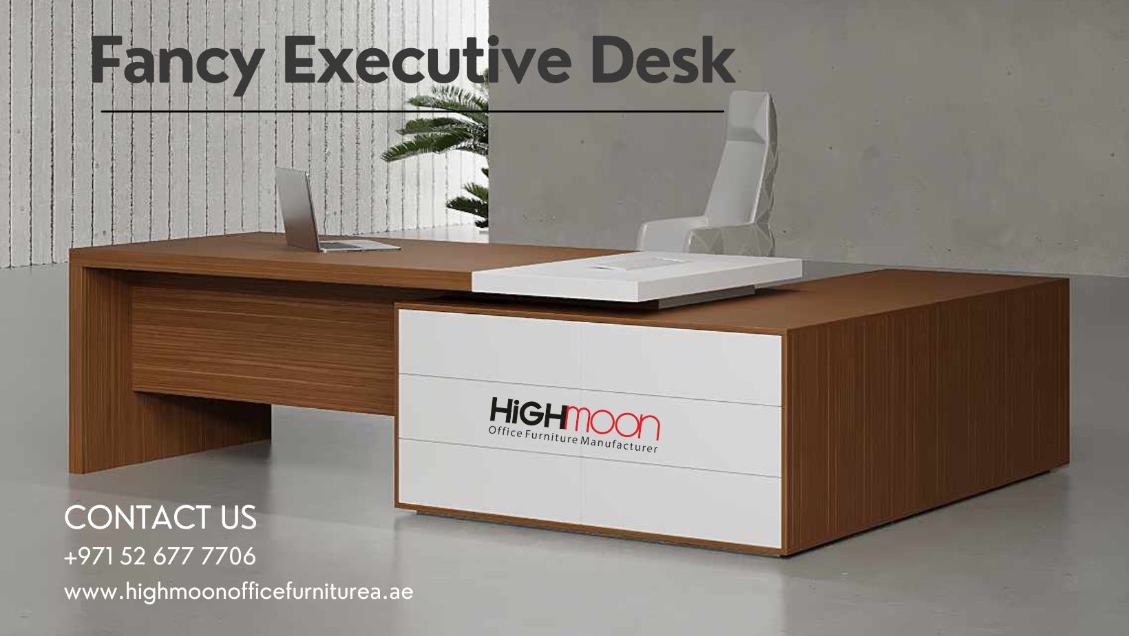 Fancy Executive Desk